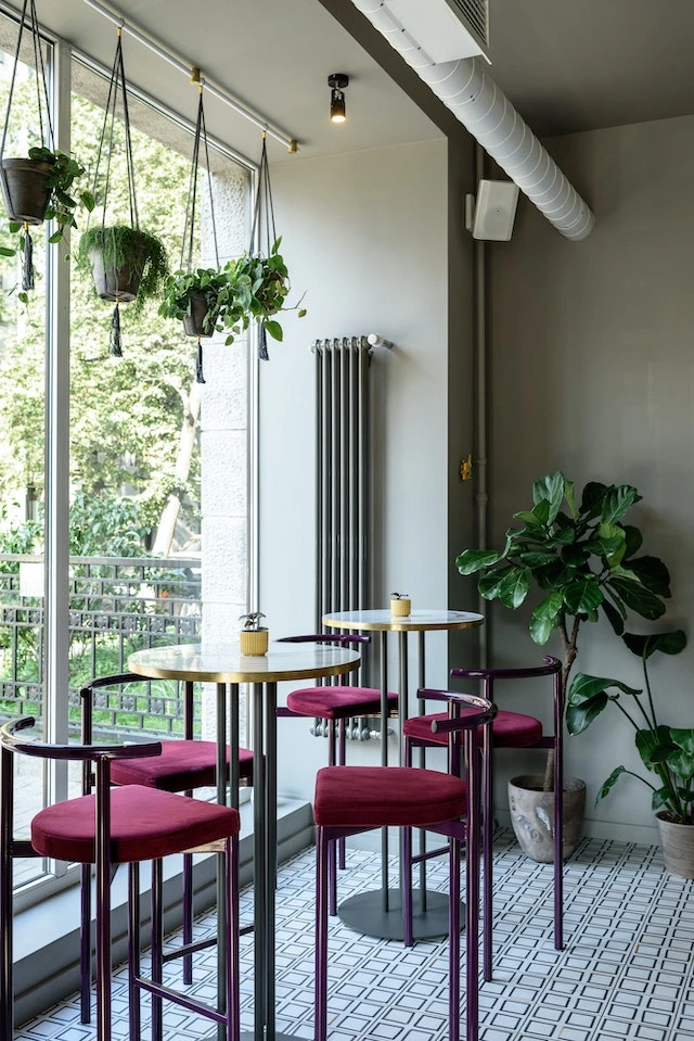Table in the cafe near a window with indoor plants and a good view